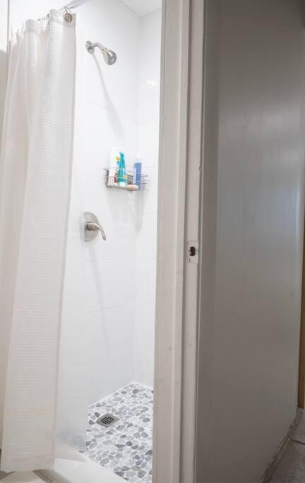 Coral Gables With Pool Near Airport. King Beds Holiday home